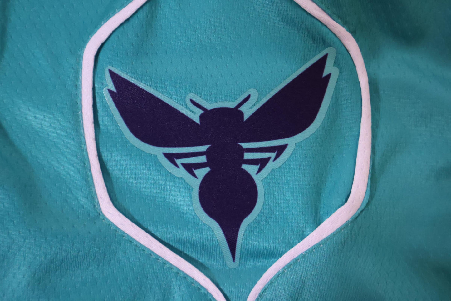 Short Charlotte Hornets Icon Edition 22/23