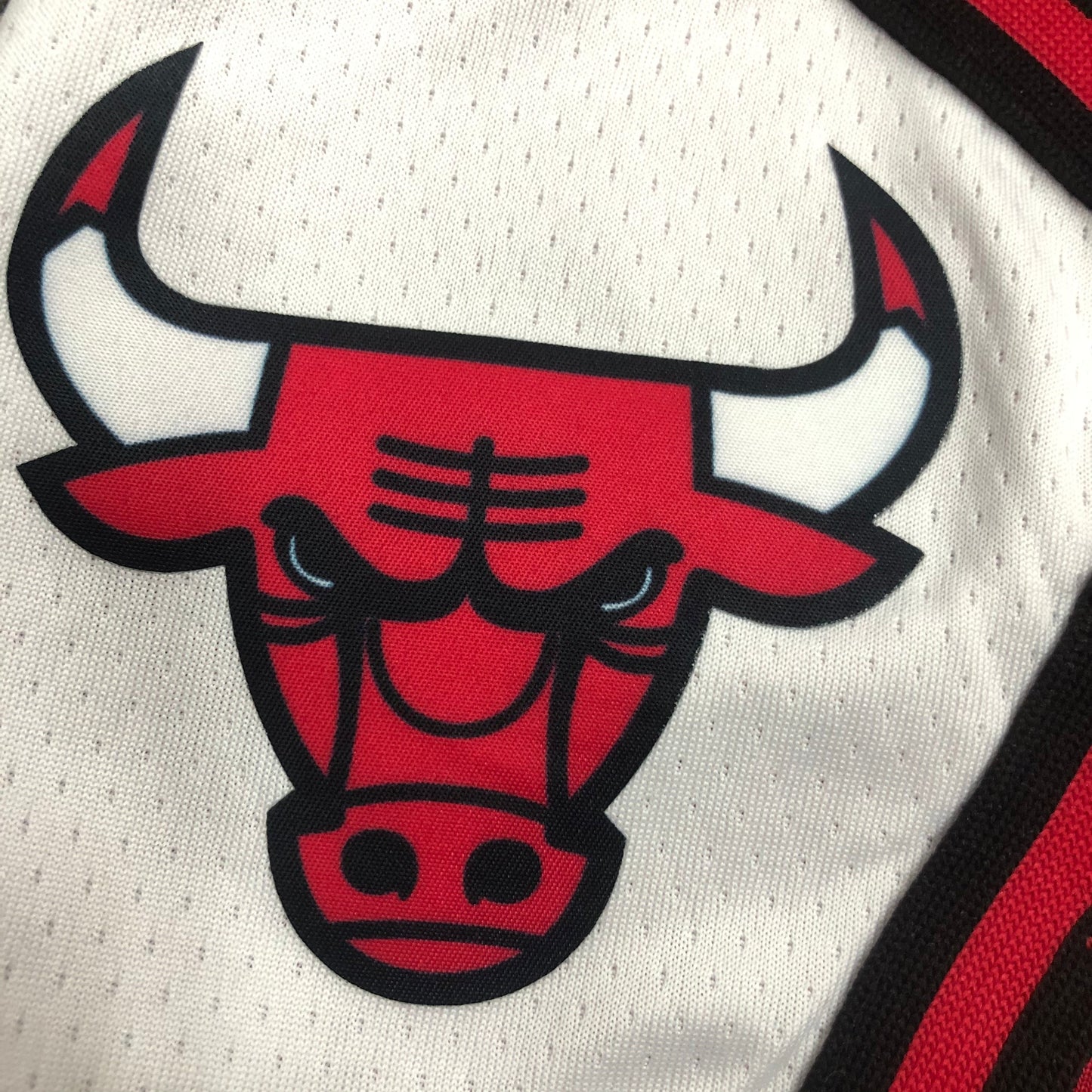 Short Chicago Bulls Icon Edition