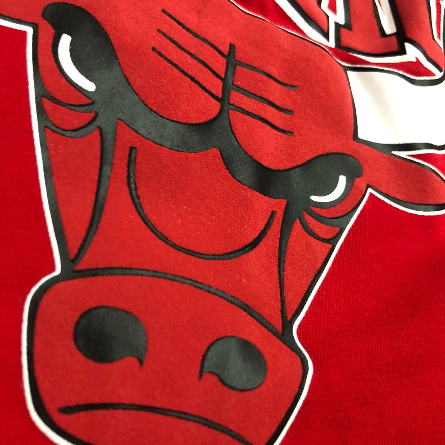 Short Casual Chicago Bulls