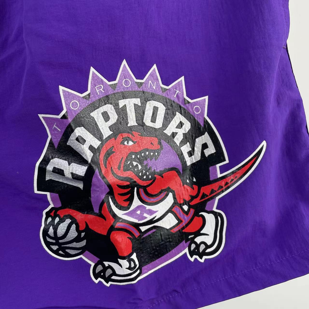 Short Toronto Raptors Mitchell & Ness Woven
