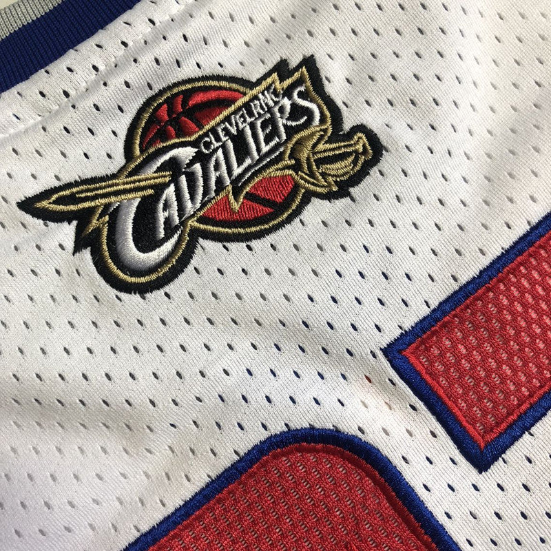 Regata Authentic Lebron James All Star 2006